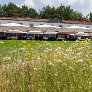 Maatwerk parasols en doeken voor horeca | Gipro Parasols